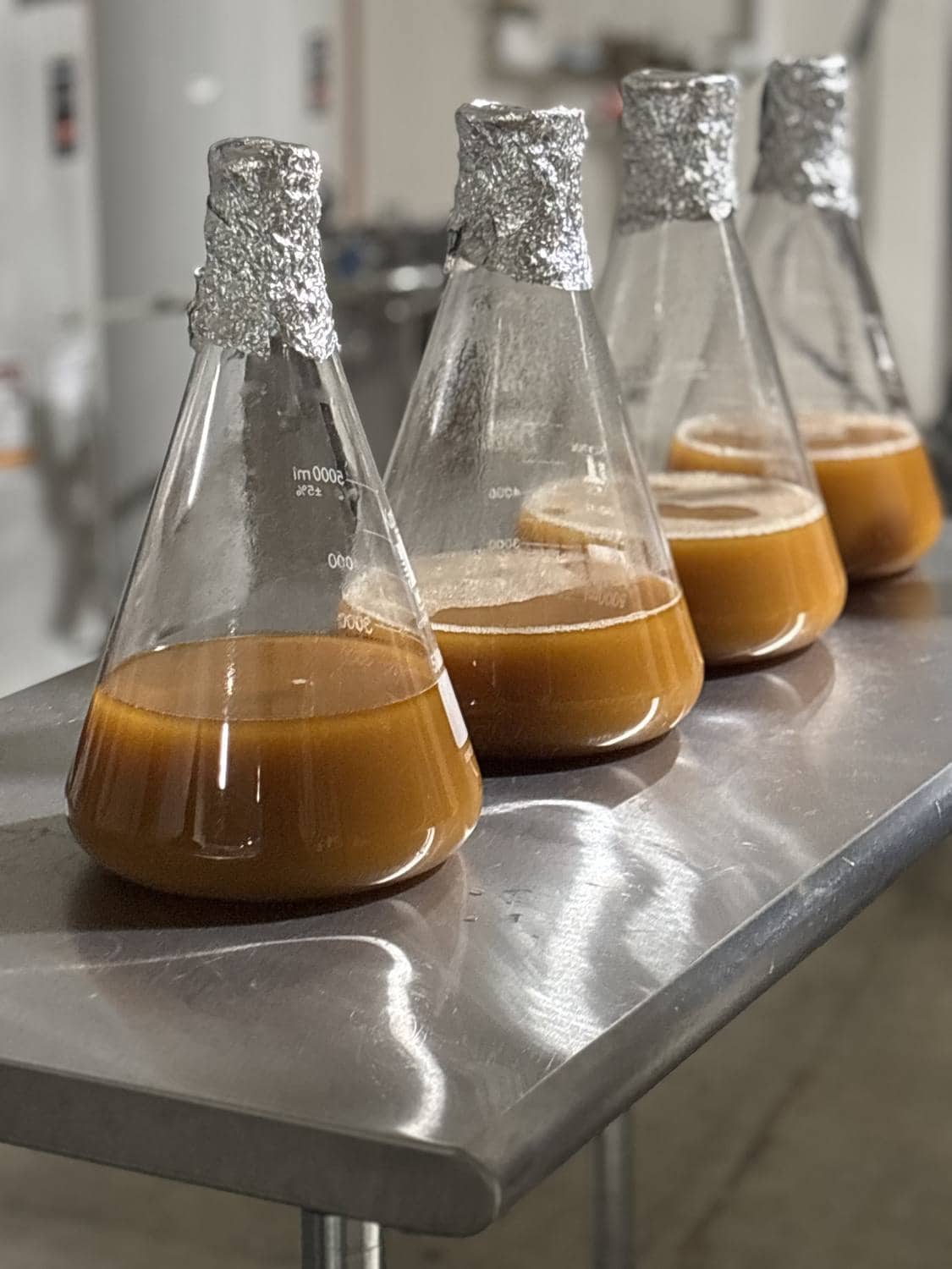 Flasks of fermenting juice resting on a stainless bench